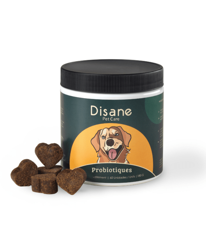 Probiotiques pour Chiens - Supplément Naturel de 60 unités | Disane Pet Care