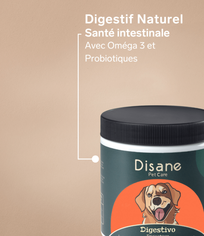 Digestif pour Chiens - Supplément Naturel de 60 Unités | Disane Pet Care