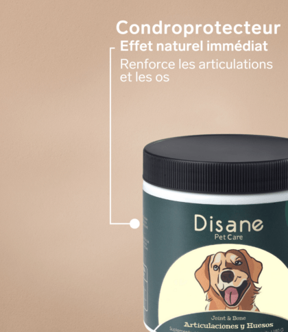 Os et Articulations pour Chiens - Supplément Naturel de 60 unités | Disane Pet Care