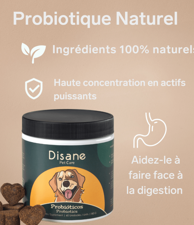 Probiotiques pour Chiens - Supplément Naturel de 60 unités | Disane Pet Care