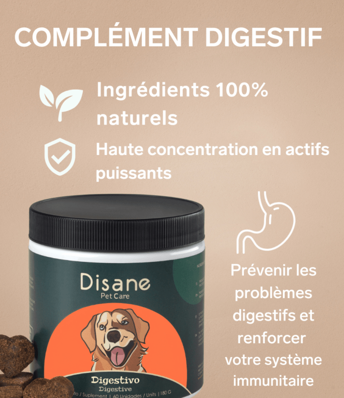 Digestif pour Chiens - Supplément Naturel de 60 Unités | Disane Pet Care