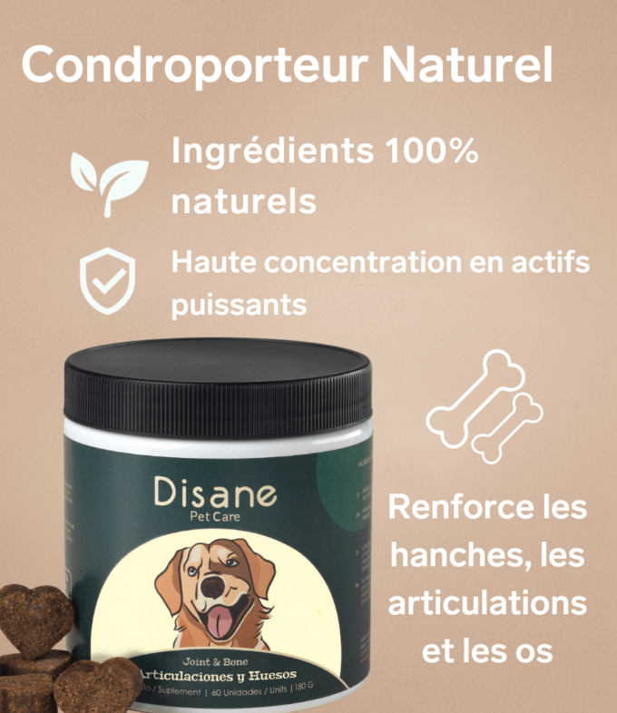 Os et Articulations pour Chiens - Supplément Naturel de 60 unités | Disane Pet Care