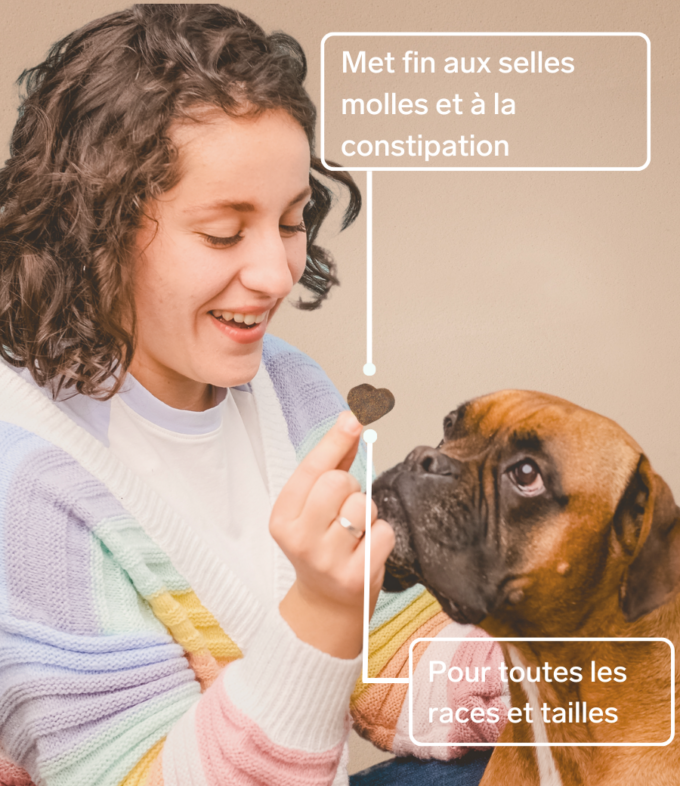 Os et Articulations pour Chiens - Supplément Naturel de 60 unités | Disane Pet Care