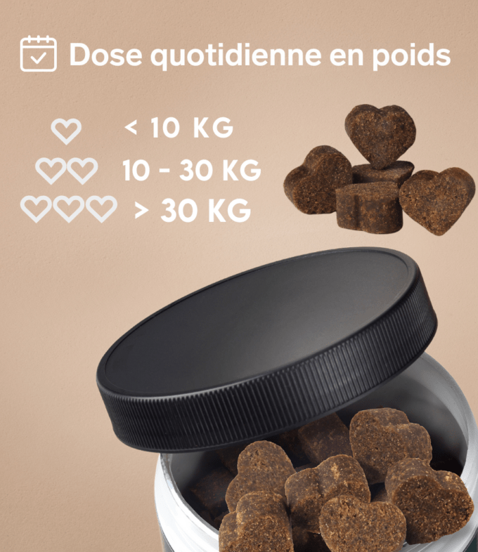 Probiotiques pour Chiens - Supplément Naturel de 60 unités | Disane Pet Care